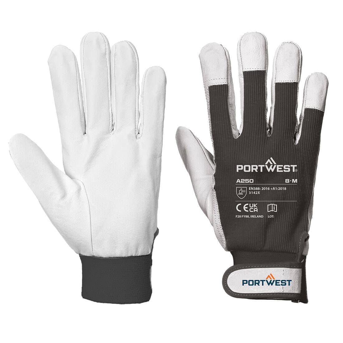 Tergsus Glove Noir