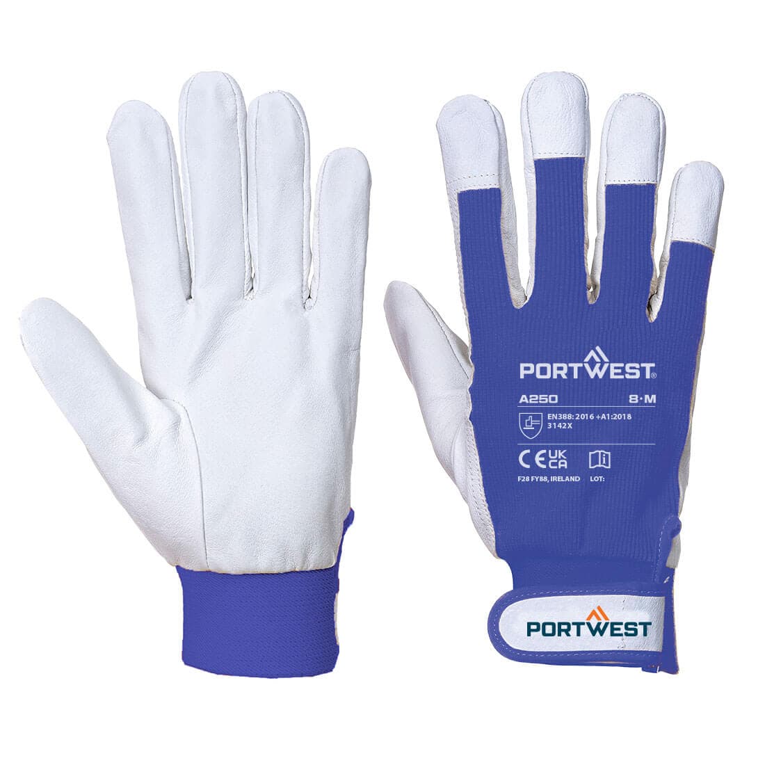 Tergsus Glove Bleu