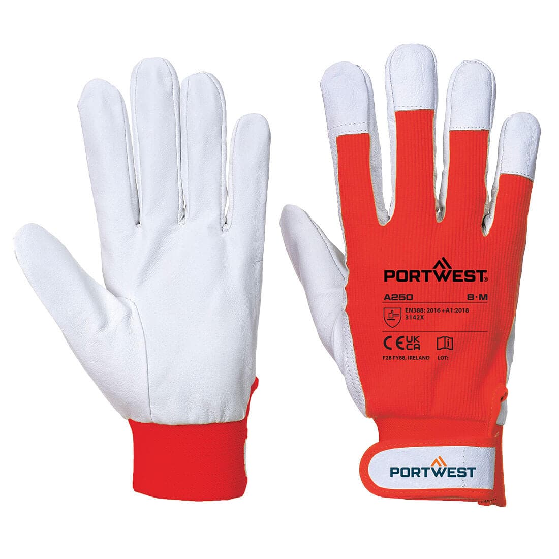 Tergsus Glove Rouge