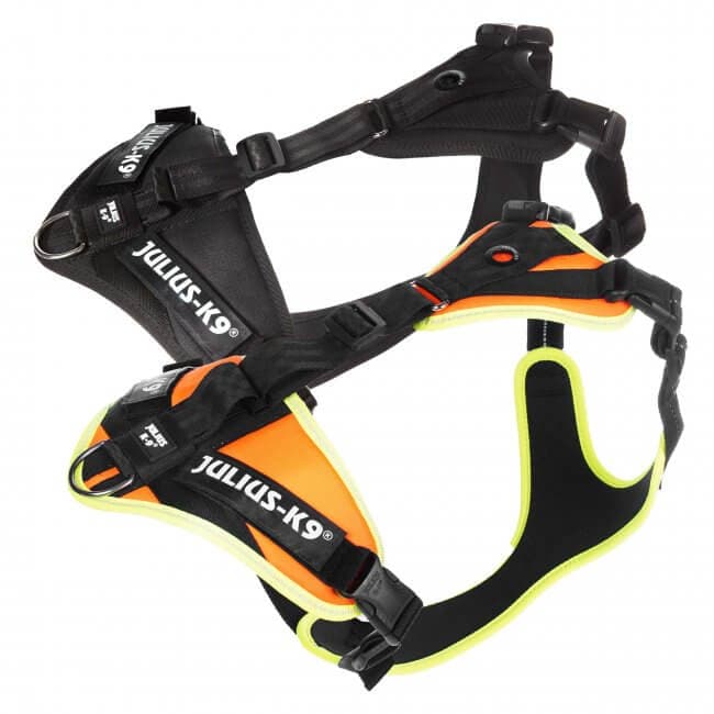 Harnais pour chien - Traction/Pistage - Julius-K9