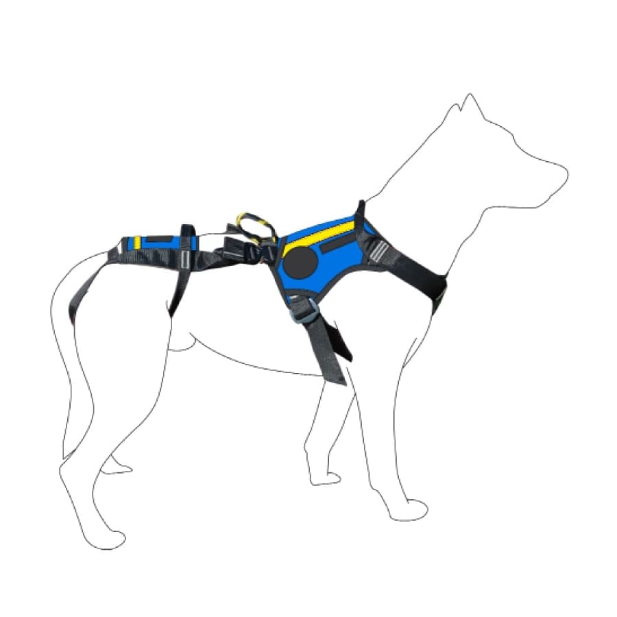 Harnais treuillable SALVATEX Bleu