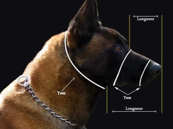 Muselière de frappe Air Pro - DOGART