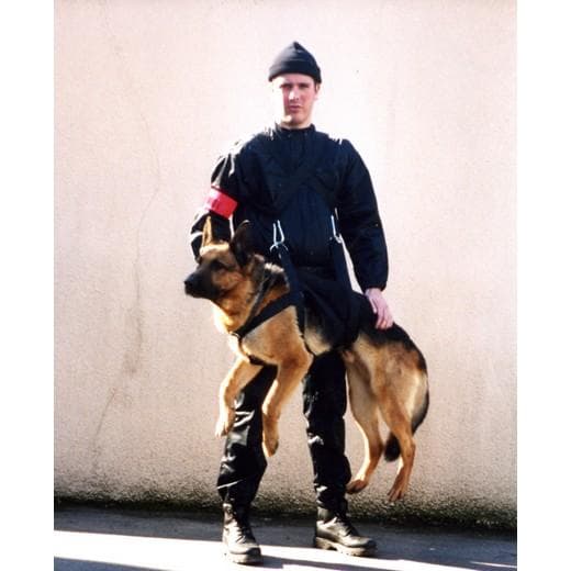 Harnais de portage intervention - Pour chien