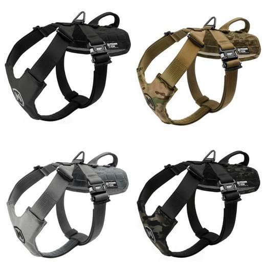 Harnais PATROL HARNESS - Modern Icon