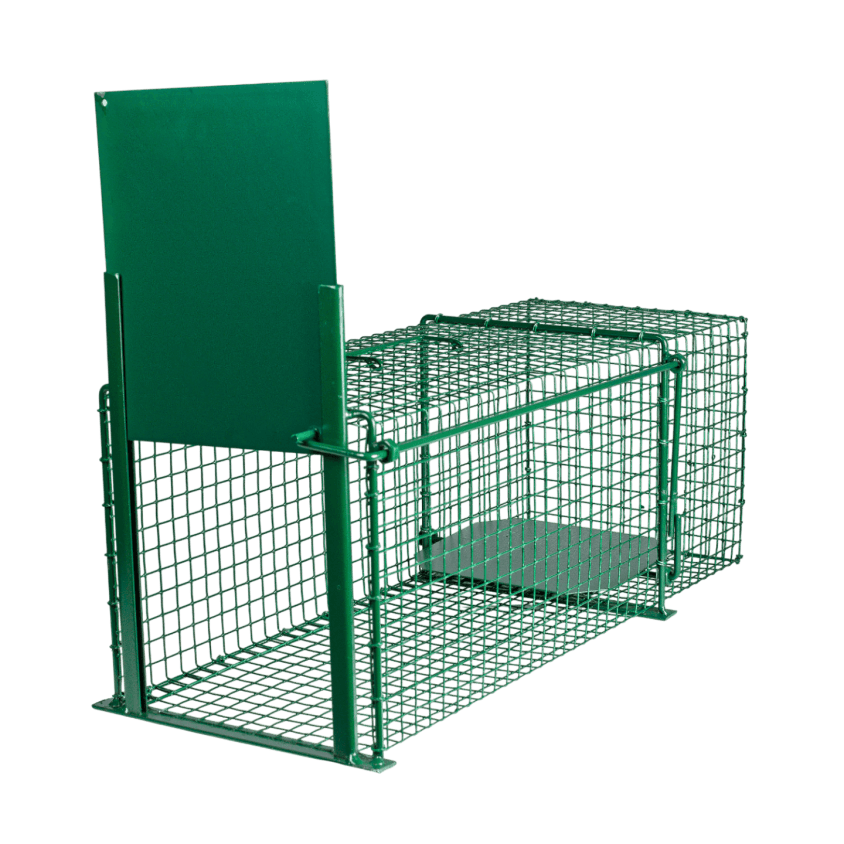 Trappe de capture pour chat et petits animaux
