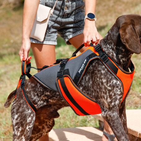 Veste pour chien multifonctionnelle 4en1 JK9®Multivest – Image 2