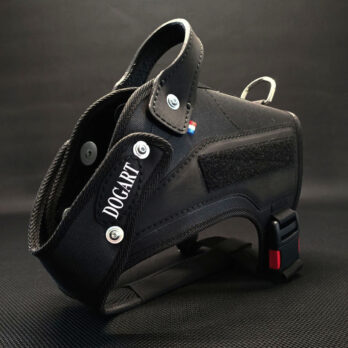 Harnais profilé - DOGART