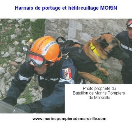 Harnais hélitreuillage Pro, pour chien – Image 2