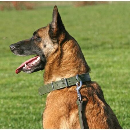 Collier cuir ARMY pour chien – Image 3