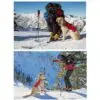 Harnais pour chien Webmaster Pro - Ruffwear – Image 3