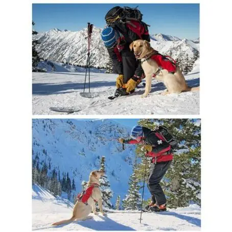 Harnais pour chien Webmaster Pro - Ruffwear – Image 3