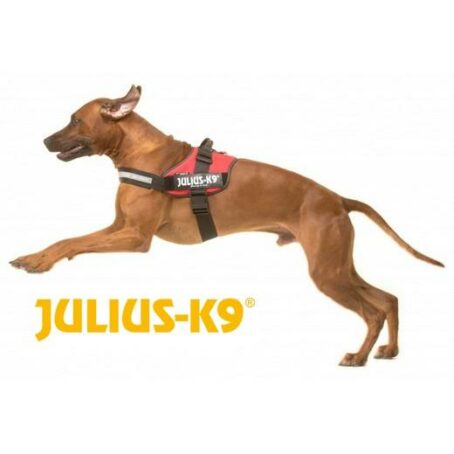 Harnais IDC POWER Julius K9 - CAMOUFLAGE – Image 6