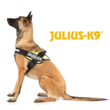 Harnais IDC POWER Julius K9 - CAMOUFLAGE – Image 7