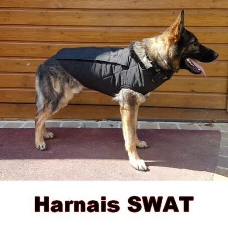 verybig 3926 1 Harnais de protection SPECIAL SWAT pour chien