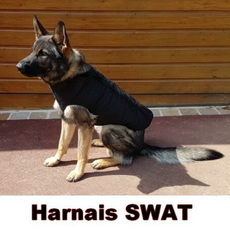 verybig 3926 2 Harnais de protection SPECIAL SWAT pour chien