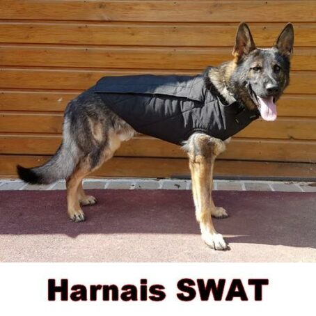 verybig 3926 3 Harnais de protection SPECIAL SWAT pour chien