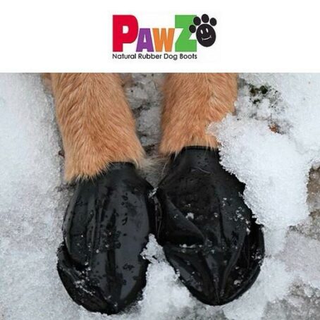 Bottine / chaussettes de protection pour chien - PAWZ – Image 4