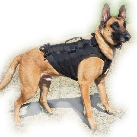 Harnais OPERATOR pour chien - RECON K9