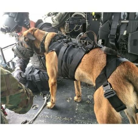 Harnais OPERATOR pour chien - RECON K9 – Image 5