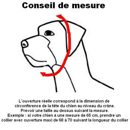 Collier sanitaire pour chien, étrangleur, chromés - Qualité Pro HS – Image 2