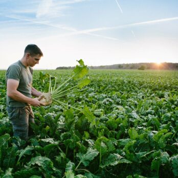 Agriculteur