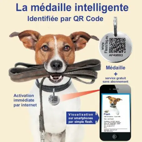 Médaille Chien Chat Personnalisée Avec QR Code Gravé - Localisation GPS