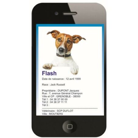 Médaille intelligente identifiée par QR Code pour chien ou chat – Image 4