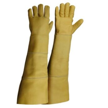 Gants de capture