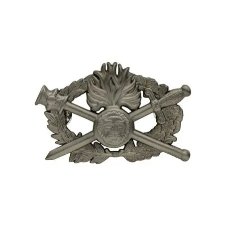 Insigne métal diplôme d'arme