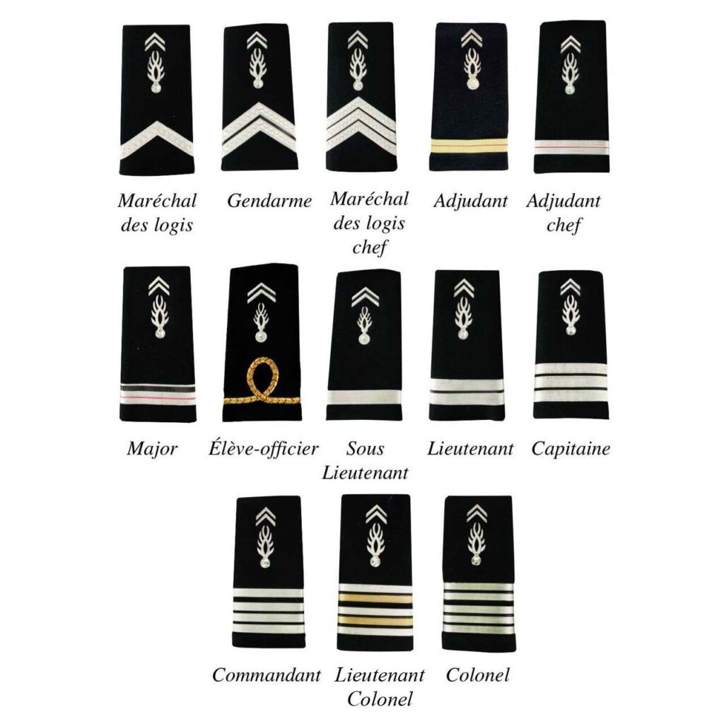 2 FOURREAUX GENDARMERIE DEPARTEMENTALE PLASTIFIE