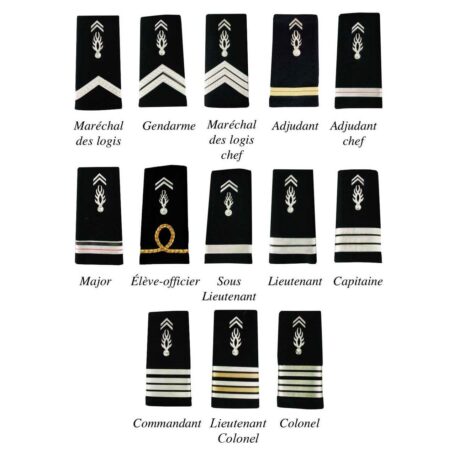 2 FOURREAUX GENDARMERIE DEPARTEMENTALE PLASTIFIE