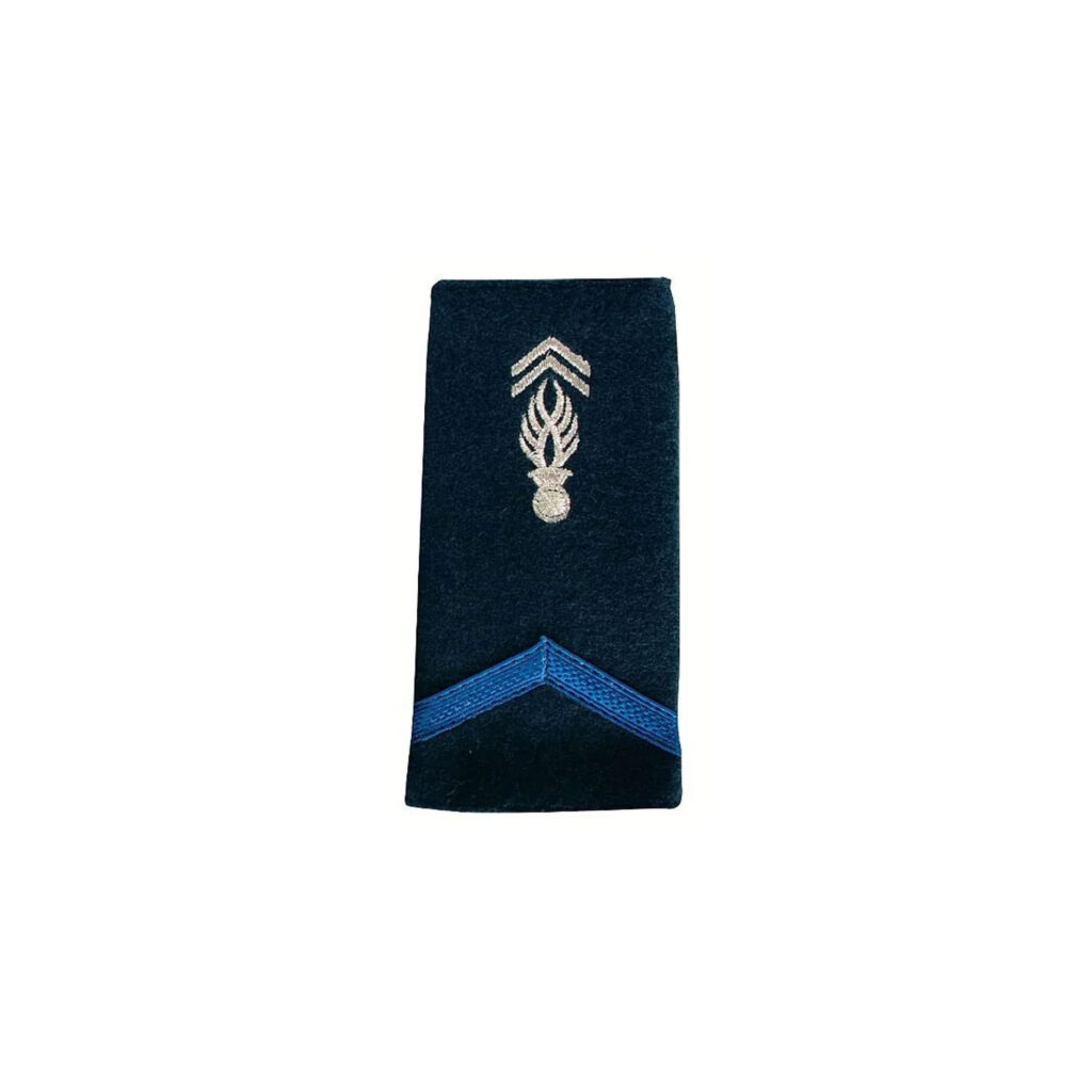 2 Fourreaux Gendarme Adjoint brodés