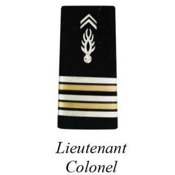 2 FOURREAUX GENDARMERIE DEPARTEMENTALE PLASTIFIE