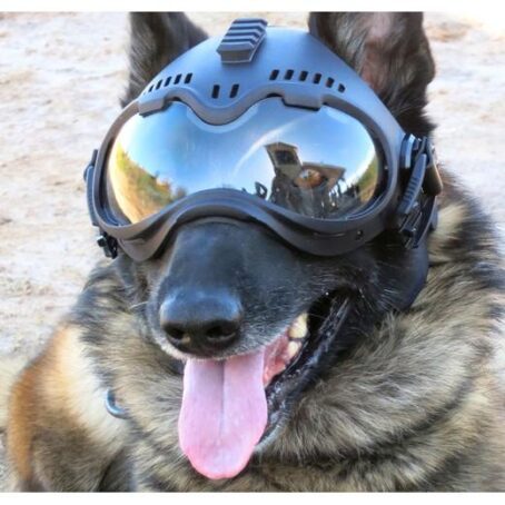 Casque pour chien - K9 Helm Tactical CS-1 – Image 6