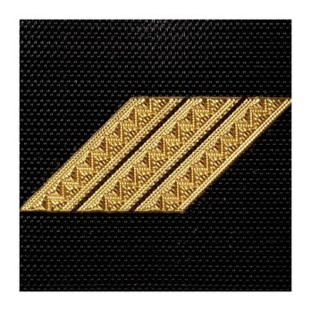 Galons plastifiés - Gendarmerie mobile