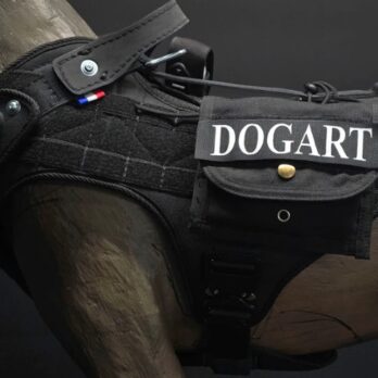 Harnais TacPro DOGART