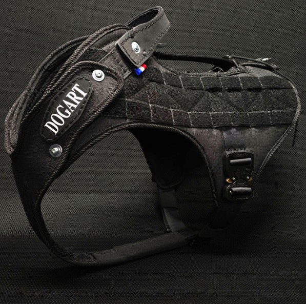 Harnais TacPro DOGART